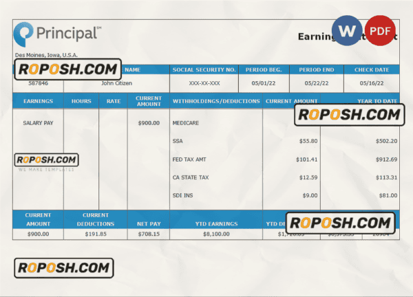 USA financial company earning statement template in Word and PDF format
