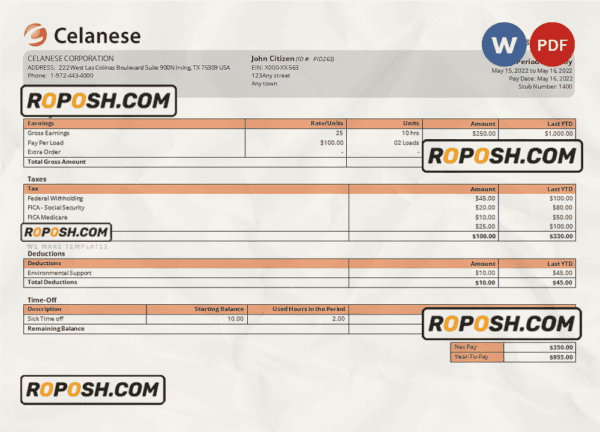 USA Celanese technology company pay stub Word and PDF template