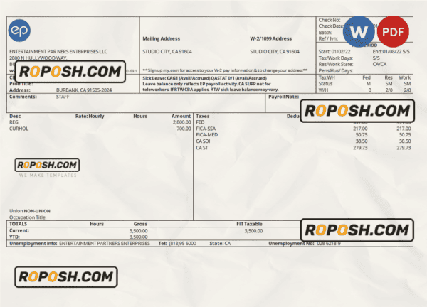 USA Entertainment Partners Enterprises financial company pay stub Word and PDF template