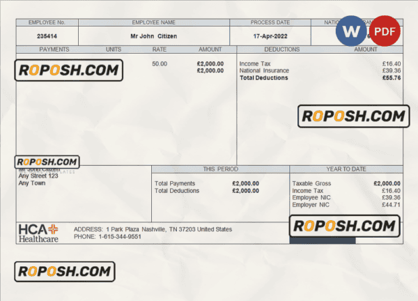 USA healthcare company employee sheet template in Word and PDF format
