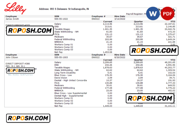 USA pharmaceutical company earnings statement template in Word and PDF format