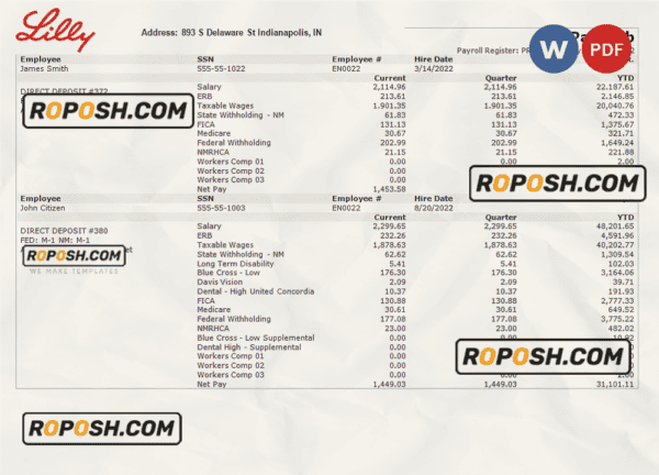 USA pharmaceutical company earnings statement template in Word and PDF format