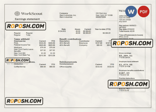 USA IT technologies company earning statement template in Word and PDF format