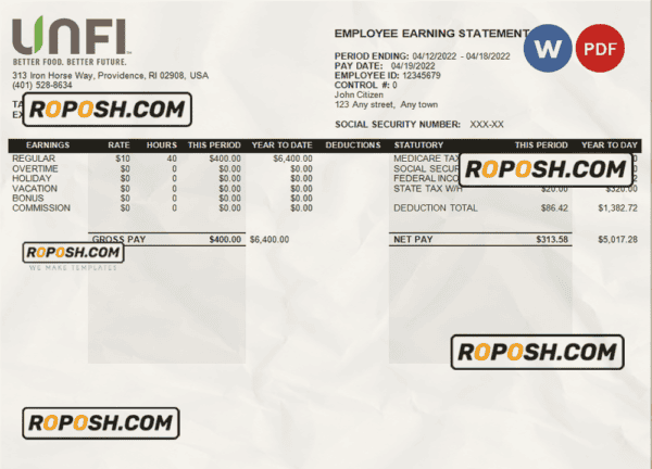 USA retail company earning statement template in Word and PDF format