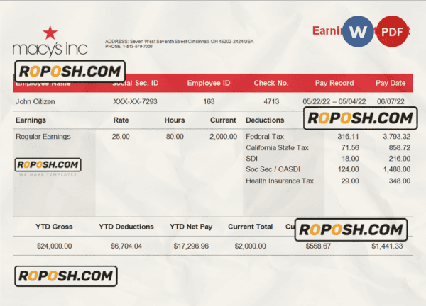 USA retail company earning statement template in Word and PDF format, version 3