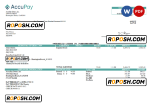USA Accupay Demo Inc. payroll company pay stub Word and PDF template