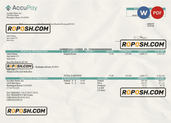 USA Accupay Demo Inc. payroll company pay stub Word and PDF template