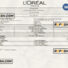 France Loreal Paris cosmetic distributing company pay stub Word and PDF template