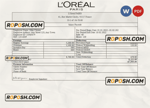 France Loreal Paris cosmetic distributing company pay stub Word and PDF template