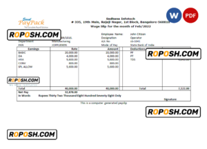 India Sadhana infotech pharmaceutical company pay stub Word and PDF template