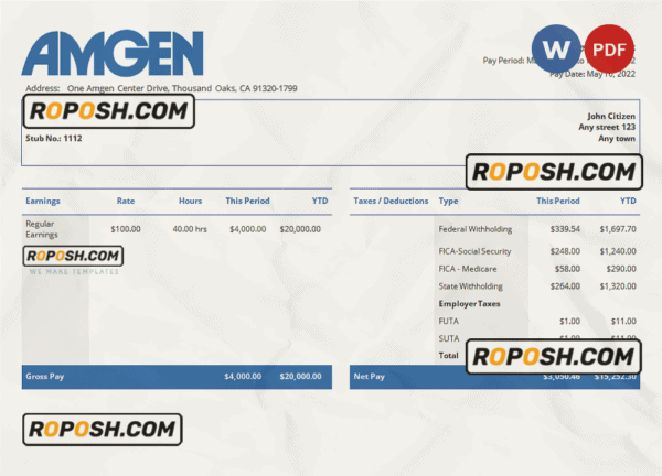 USA Amgen biotechnology company pay stub Word and PDF template