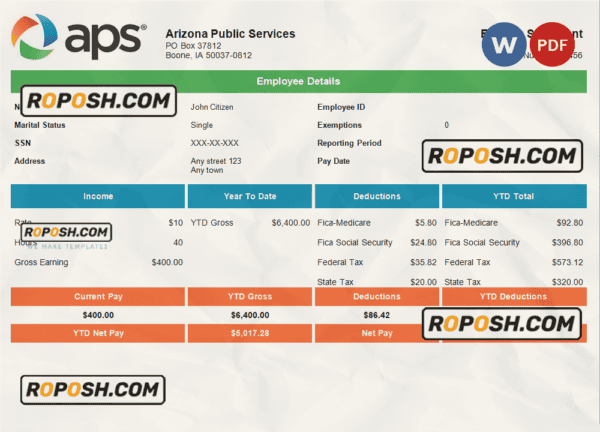 USA APS public services company pay stub Word and PDF template