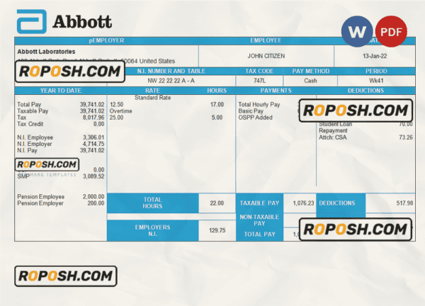 United Kingdom Abbott Laboratories medical devices distributing company pay stub Word and PDF template