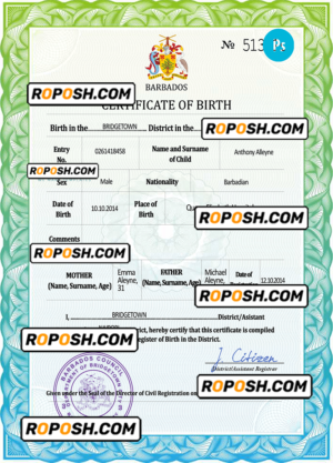 Barbados vital record birth certificate PSD template, completely editable