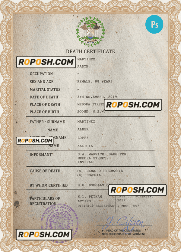 Belize death certificate PSD template, completely editable