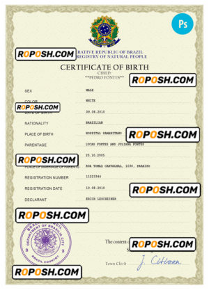 Brazil vital record birth certificate PSD template