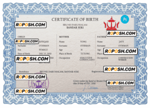 Brunei vital record birth certificate PSD template, completely editable