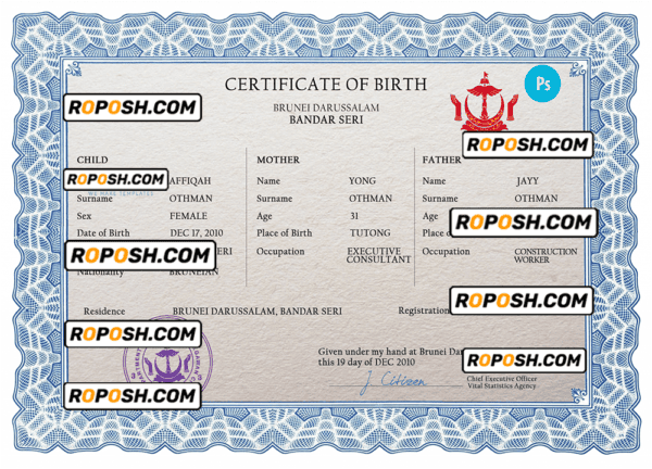 Brunei vital record birth certificate PSD template, completely editable