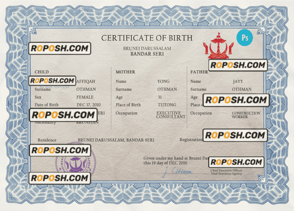 Brunei vital record birth certificate PSD template, completely editable