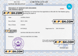 Brunei vital record death certificate PSD template, fully editable