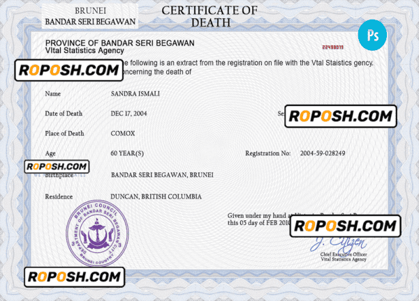 Brunei vital record death certificate PSD template, fully editable