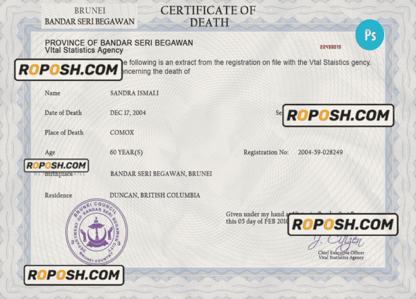 Brunei vital record death certificate PSD template, fully editable