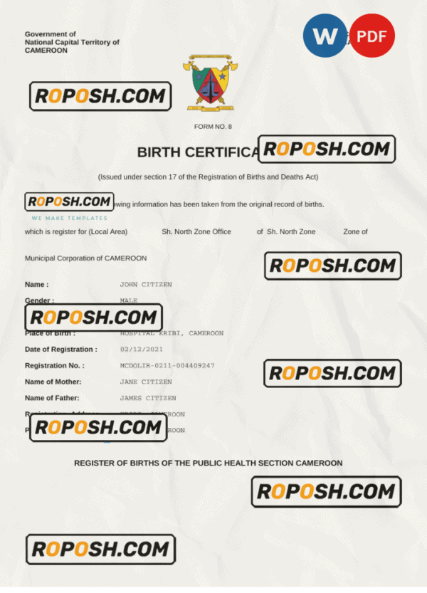 Cameroon vital record birth certificate Word and PDF template, completely editable