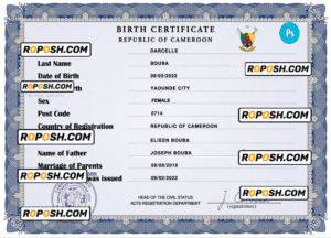 Cameroon vital record birth certificate PSD template