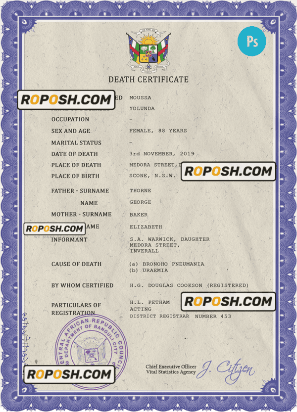 Central African Republic death certificate PSD template, completely editable
