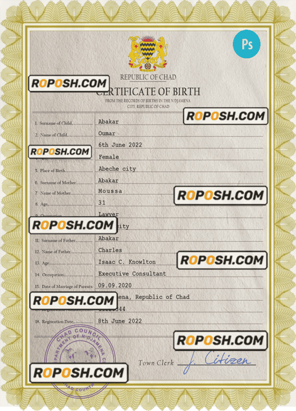 Chad vital record birth certificate PSD template, fully editable