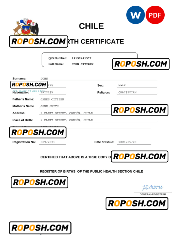 Chile vital record birth certificate Word and PDF template, completely editable