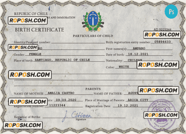 Chile vital record birth certificate PSD template