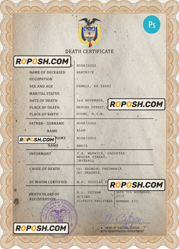 Colombia vital record death certificate PSD template, fully editable