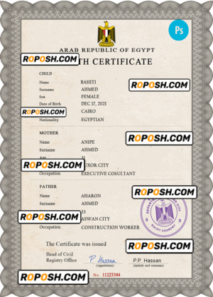 Egypt vital record birth certificate PSD template, fully editable