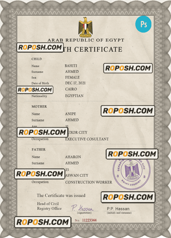 Egypt vital record birth certificate PSD template, fully editable