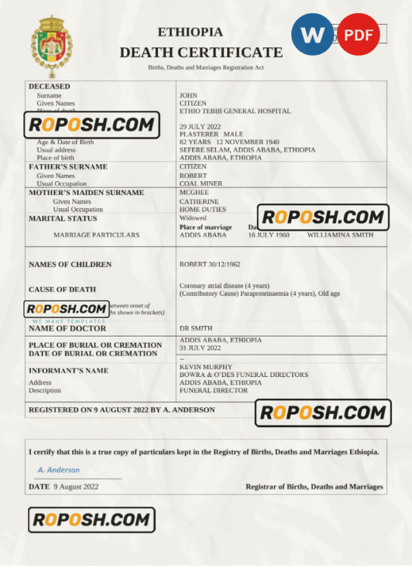 Ethiopia vital record death certificate Word and PDF template
