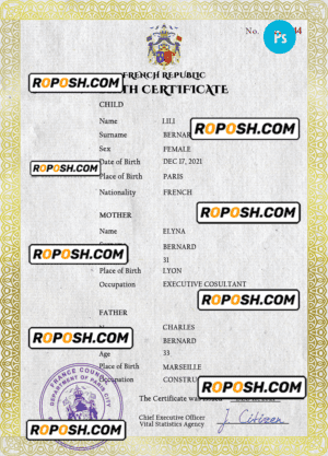 France vital record birth certificate PSD template, completely editable