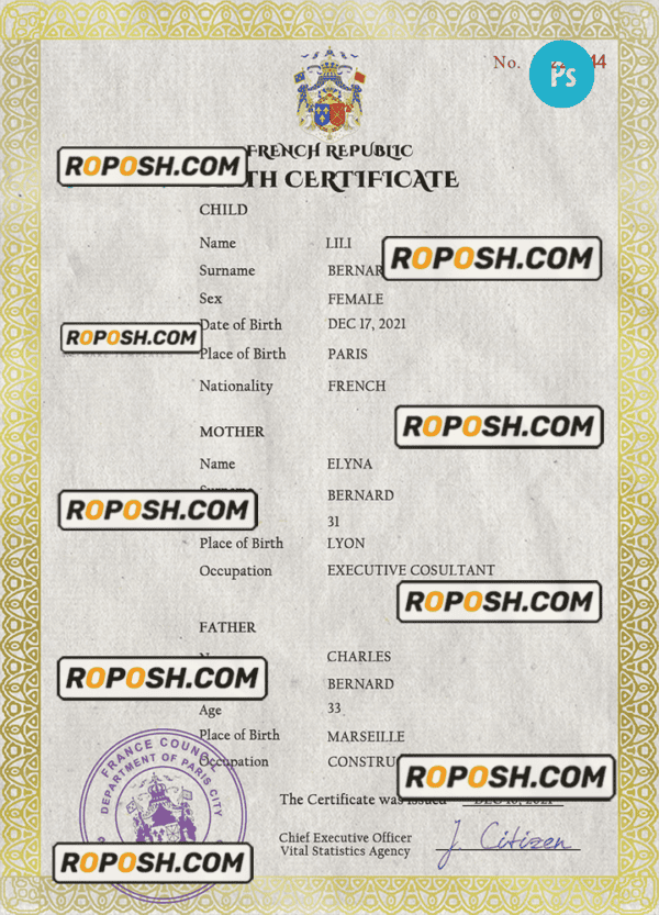 France vital record birth certificate PSD template, completely editable