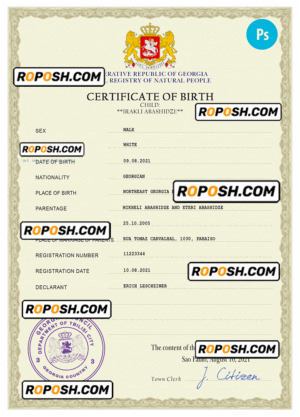 Georgia vital record birth certificate PSD template