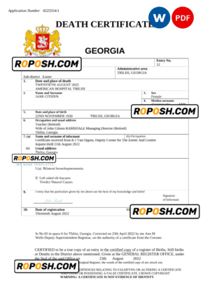 Georgia vital record death certificate Word and PDF template