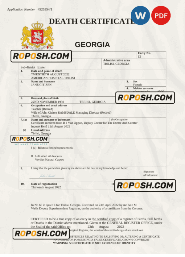 Georgia vital record death certificate Word and PDF template
