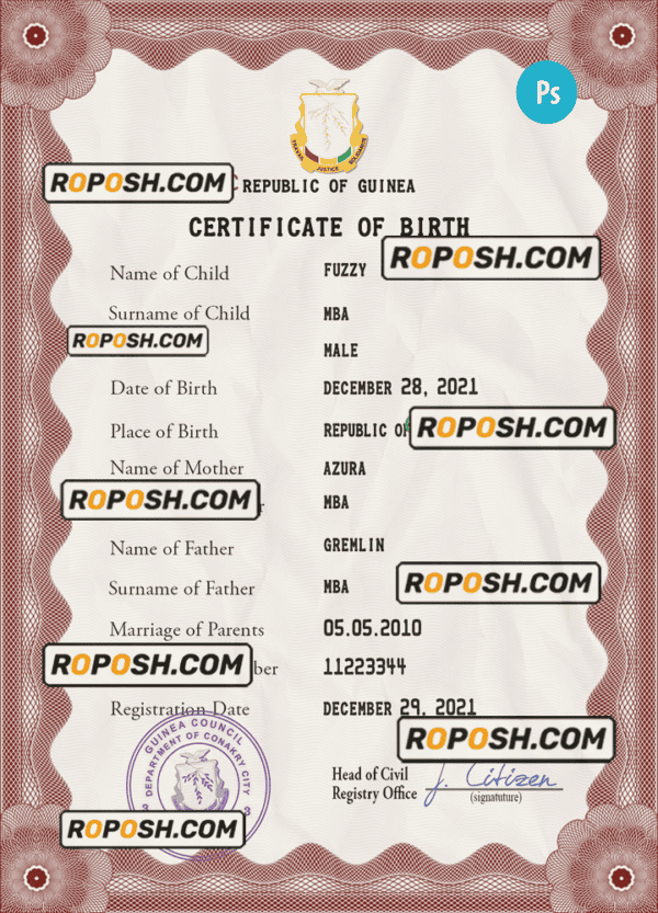 Guinea vital record birth certificate PSD template, completely editable