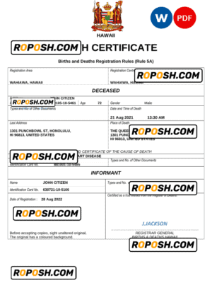 Hawaii death certificate Word and PDF template, completely editable