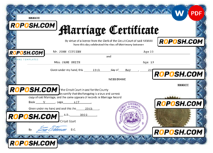 Hawaii marriage certificate Word and PDF template, fully editable