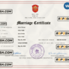 Holy See marriage certificate Word and PDF template, completely editable scan effect