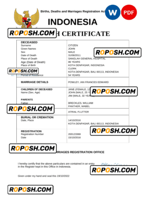 Indonesia vital record death certificate Word and PDF template