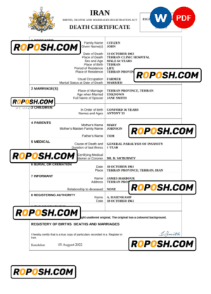 Iran death certificate Word and PDF template, completely editable