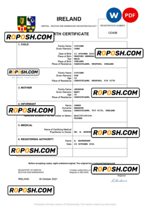 Ireland birth certificate Word and PDF template, completely editable