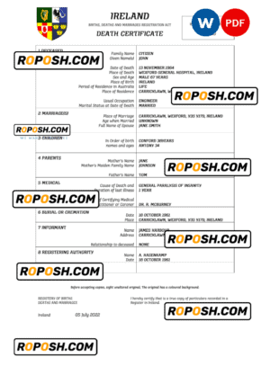 Ireland vital record death certificate Word and PDF template