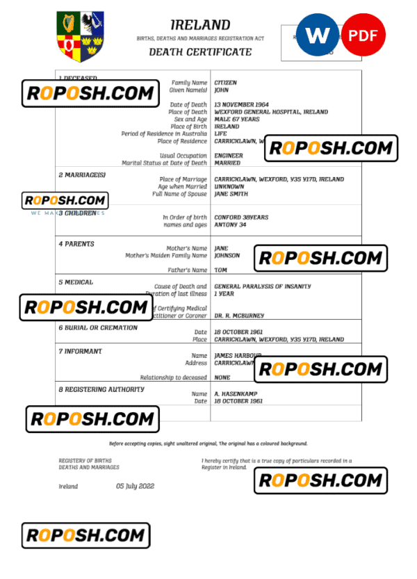 Ireland vital record death certificate Word and PDF template
